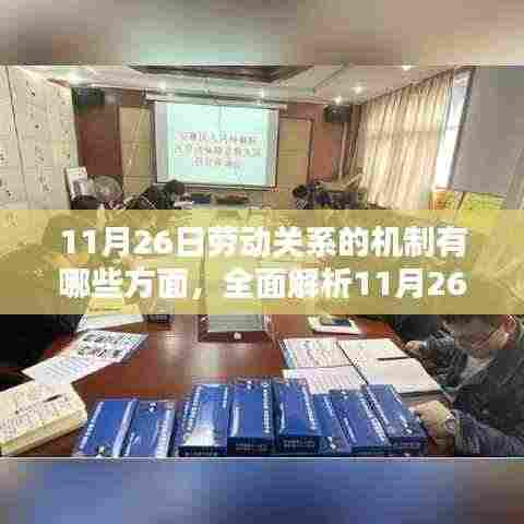 全面解析劳动关系机制,步骤指南与11月26日必读内容