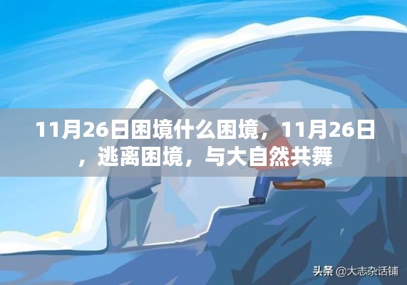 逃离困境,与大自然的共舞在11月26日
