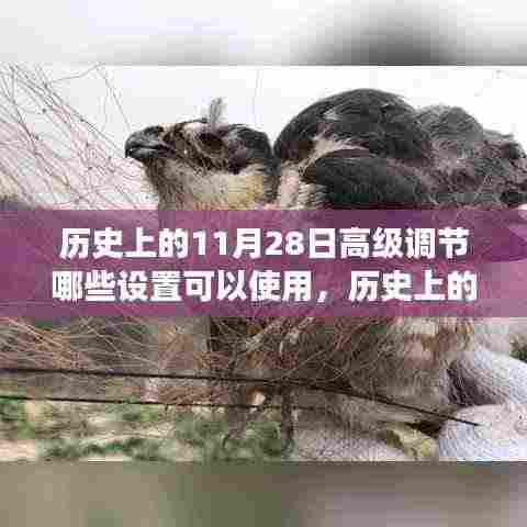 历史上的11月28日高级设置深度解析，功能特性、用户体验与对比分析