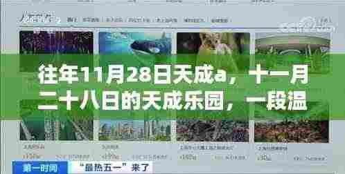 十一月二十八日天成乐园的温馨友情日常