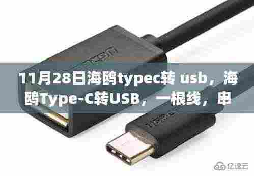 海鸥Type-C转USB线,串联友情记忆的纽带