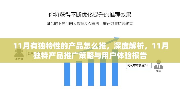 深度解析,11月独特产品推广策略与用户体验报告——打造独特产品,提升用户吸引力与体验度