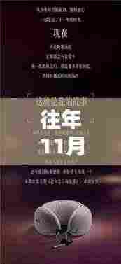 旧日挚友与内饰升级的秘密,揭秘历年11月28日高低配内饰的温馨时光