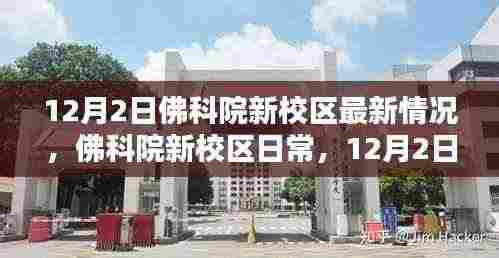 佛科院新校区最新动态,12月2日的日常与温暖篇章