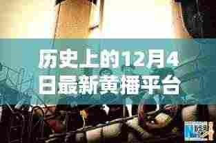 关于历史上的黄播平台下载指南,如何轻松获取最新内容(初学者与进阶用户适用)
