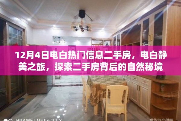 电白热门二手房信息揭秘,静美之旅背后的自然秘境探索