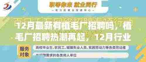 鸟穷则啄 第5页