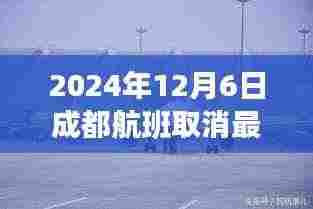 2024年成都航班取消最新信息及应对指南(初学者与进阶用户必备)