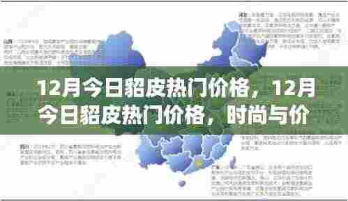 12月貂皮热门价格，时尚与价值交汇的最新动态