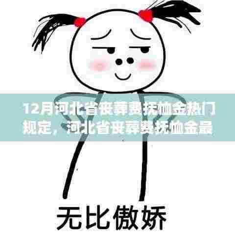 河北省丧葬费抚恤金最新规定解读,十二月新规下的热门规定与解读