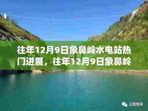 往年12月9日象鼻岭水电站进展热议,深度分析与观点阐述