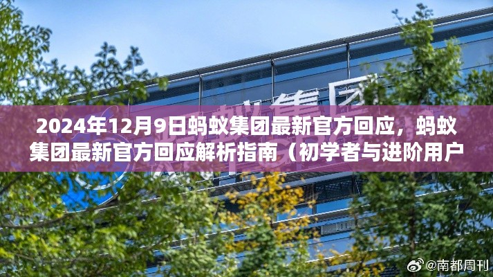 蚂蚁集团官方回应解析指南,适用于初学者与进阶用户的最新指南(2024年12月9日)