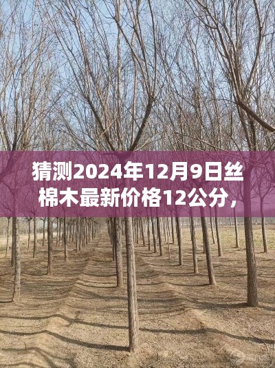 揭秘,2024年丝棉木行情预测——深度解析丝棉木最新价格动态与行情展望(针对12公分丝棉木)