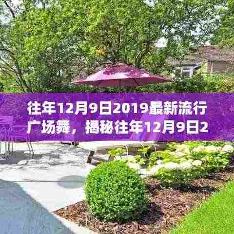 揭秘往年12月9日流行广场舞风潮,舞动时尚,引领健康新潮流的舞蹈盛宴