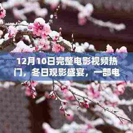 冬日观影盛宴,电影中的温情与挚友的陪伴时刻