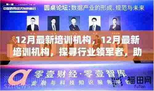 探寻行业领军培训机构,助力个人成长之路(12月最新更新)