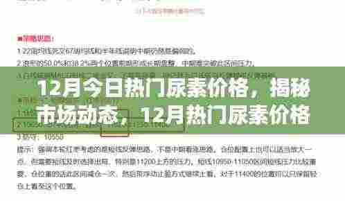 揭秘市场动态,12月热门尿素价格走势分析与预测