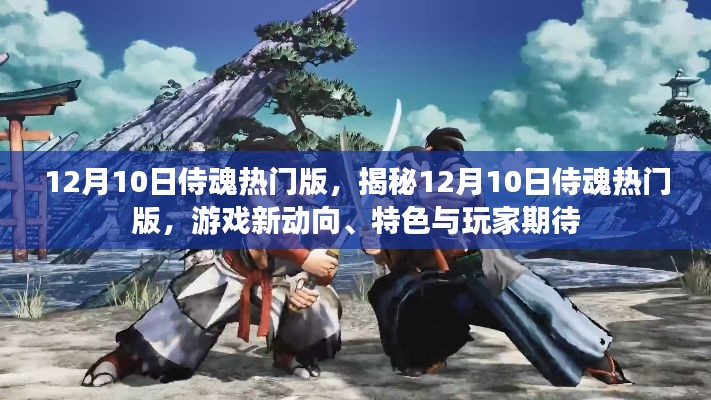 揭秘，12月10日侍魂热门版游戏新动向与玩家期待揭秘的特色亮点