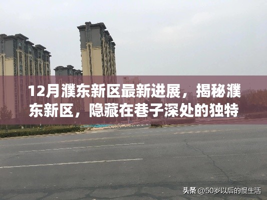 揭秘濮东新区,巷子深处的独特小店与最新进展的奇迹之旅揭秘濮东新区最新进展。