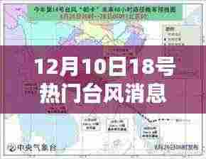 台风凤凰来袭,最新路径与深远影响纪实