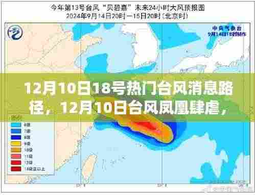台风凤凰来袭,最新路径与深远影响纪实