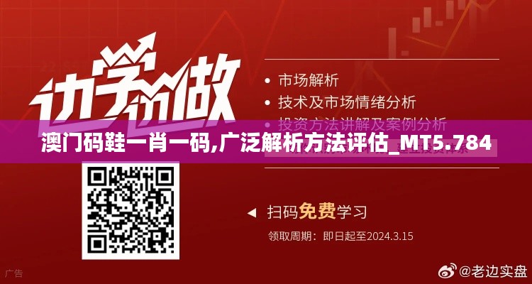 澳门码鞋一肖一码,广泛解析方法评估_MT5.784