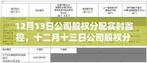 十二月十三日公司股权分配实时监控,洞悉运营脉络,保障投资者权益