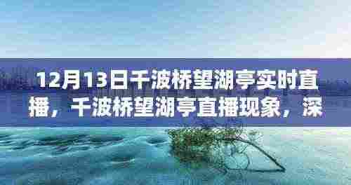 千波桥望湖亭直播现象深度解析与观点阐述,实时直播体验分享