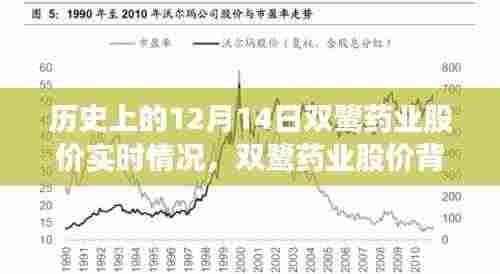 双鹭药业股价背后的自然之旅,历史实时数据与心灵探索之旅