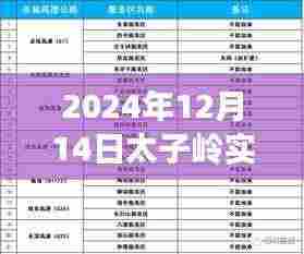 太子岭逆风翱翔,天气变化中的励志篇章与实时天气查询表
