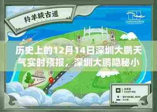 深圳大鹏隐秘小巷天气故事与奇遇,历史天气回顾与特色小店探访
