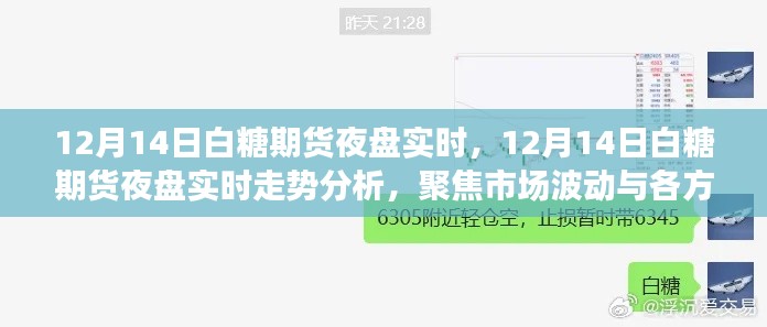 聚焦市场波动与各方观点,白糖期货夜盘实时走势分析(12月14日)