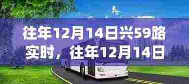往年12月14日兴59路公交车实时运营回顾与概览