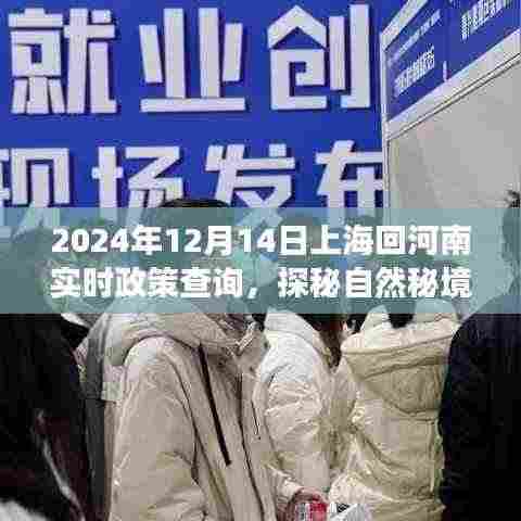 上海返乡之旅,探秘自然秘境,了解实时政策,静享从上海到河南的旅程