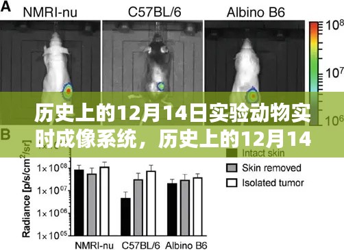 实验动物实时成像系统诞生与影响回顾,历史上的12月14日纪念文章