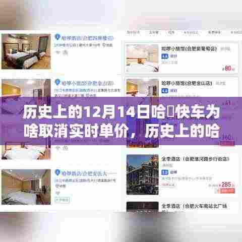 历史上的哈啰快车取消实时单价背后的原因解析,为何在十二月十四日做出这一决策?
