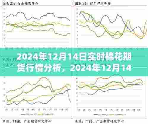 2024年12月14日棉花期货行情深度解析与实时动态分析