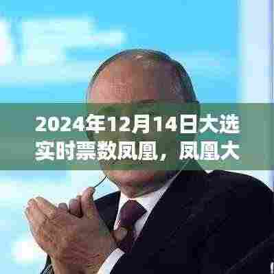 凤凰大选背后的自然之旅,探寻内心平静的奇妙探险(2024年大选实时票数解读)