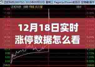 初学者与进阶用户必读,解读与分析股市实时涨停数据指南——以12月18日为例