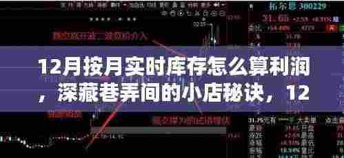 探索巷弄宝藏,揭秘小店12月实时库存利润算法与商机洞察