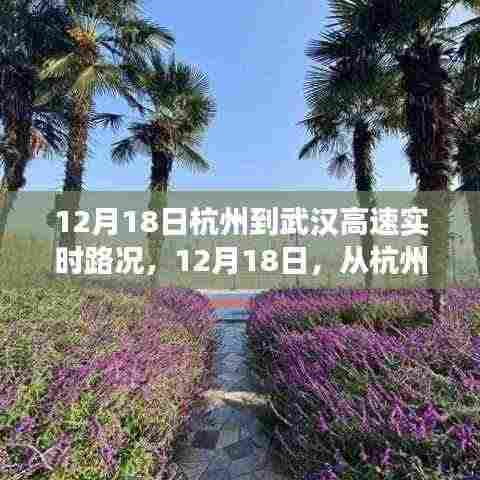 12月18日杭州至武汉高速实时路况,心灵之旅的奇遇与宁静之路