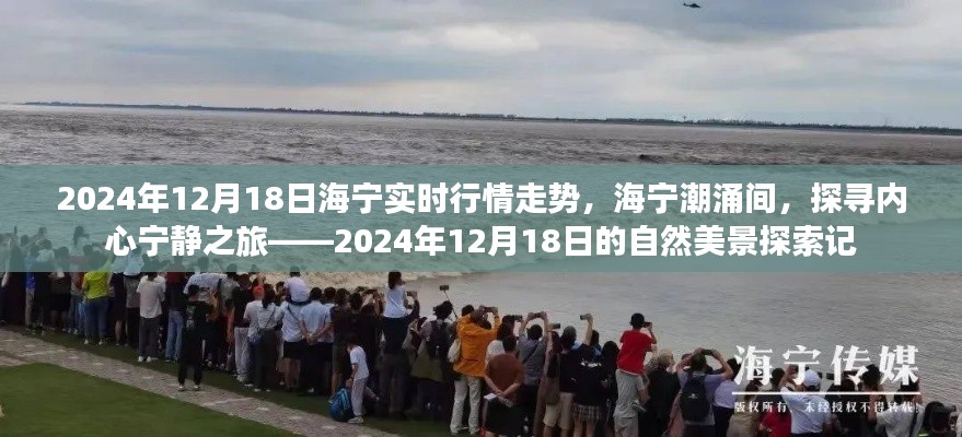 海宁潮涌与内心宁静之旅,2024年12月18日海宁实时行情与自然美景探索纪实