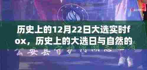 历史上的大选日与自然对话,寻找内心平静的奇妙之旅当日焦点回顾福克斯实时报道