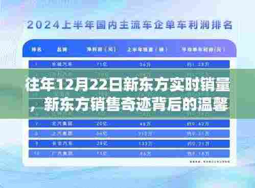 新东方冬至销售奇迹背后的温馨故事,历年12月22日实时销量揭秘