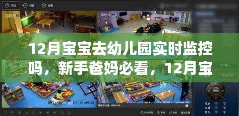 12月宝宝入园实时监控操作指南，新手爸妈必看的实时监控指南