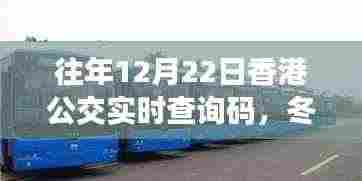 冬日暖阳下的公交奇遇,香港公交实时查询码的故事