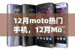 深度解析与观点阐述,12月Moto热门手机综述