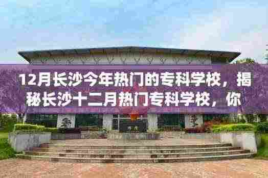 揭秘长沙十二月热门专科学校,专科生的梦想起航之地!