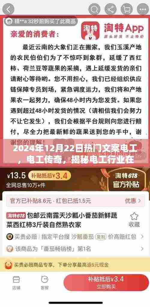 揭秘电工传奇,特定时代的辉煌篇章与电工行业的未来展望(以电工热门文案为例)