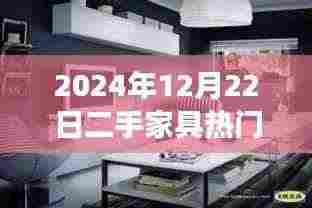 二手家具视频广告盛宴，专业解读与深度剖析（2024年12月22日版）